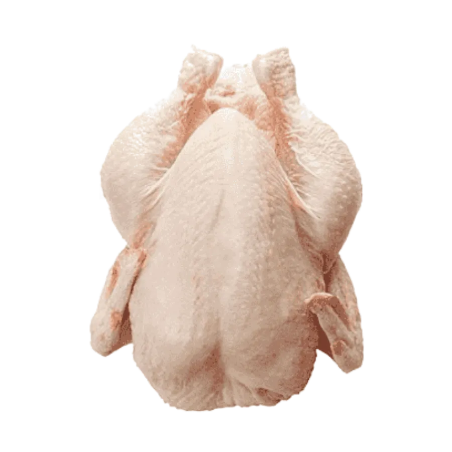 Halal Chicken